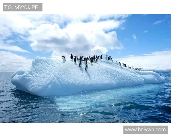 应对气候变暖挑战国际冬季运动项目探索室内化发展新路径